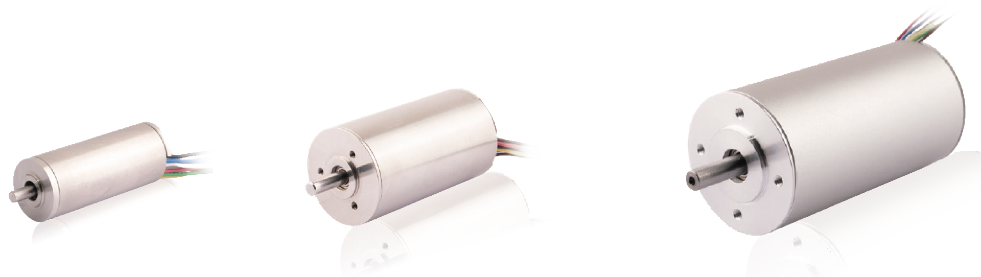 空心杯 音圈.png